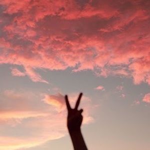 Meet your Posher, Tori